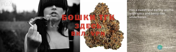 apvp Лабытнанги