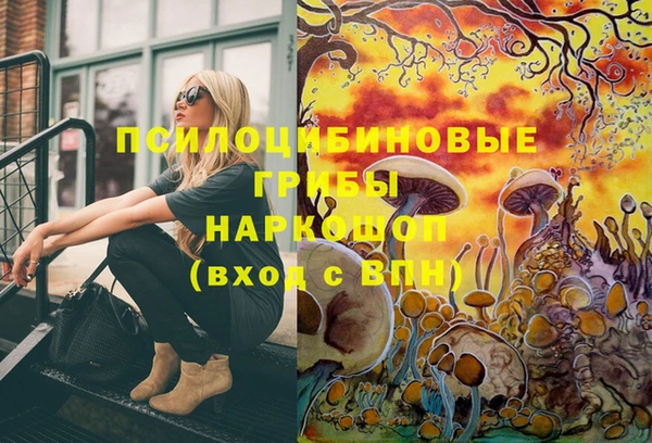 apvp Лабытнанги