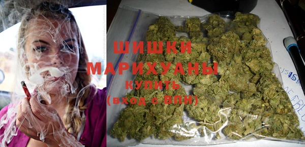 гидра Ладушкин