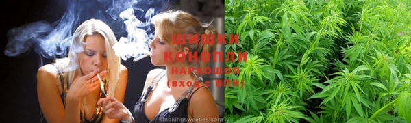 гидра Ладушкин