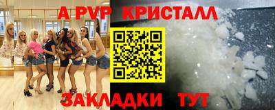 спиды Гусев